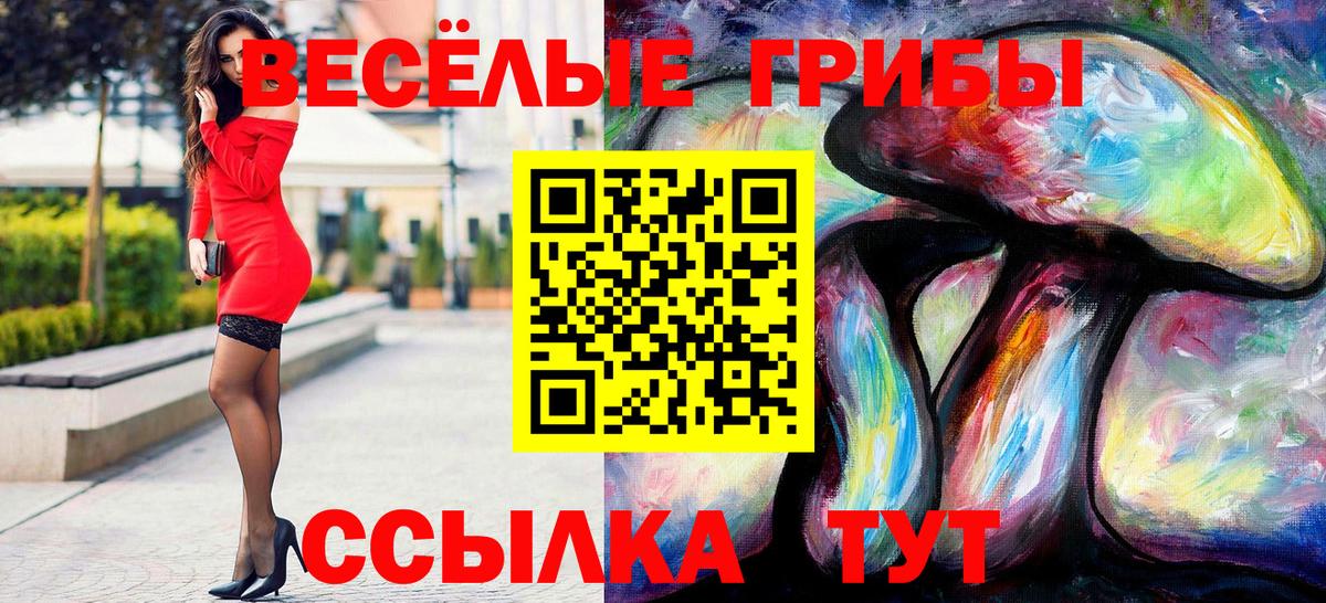 Псилоцибиновые грибы Psilocybe  Вход с VPN  Апшеронск  Галлюциногенные грибы Psilocybe 