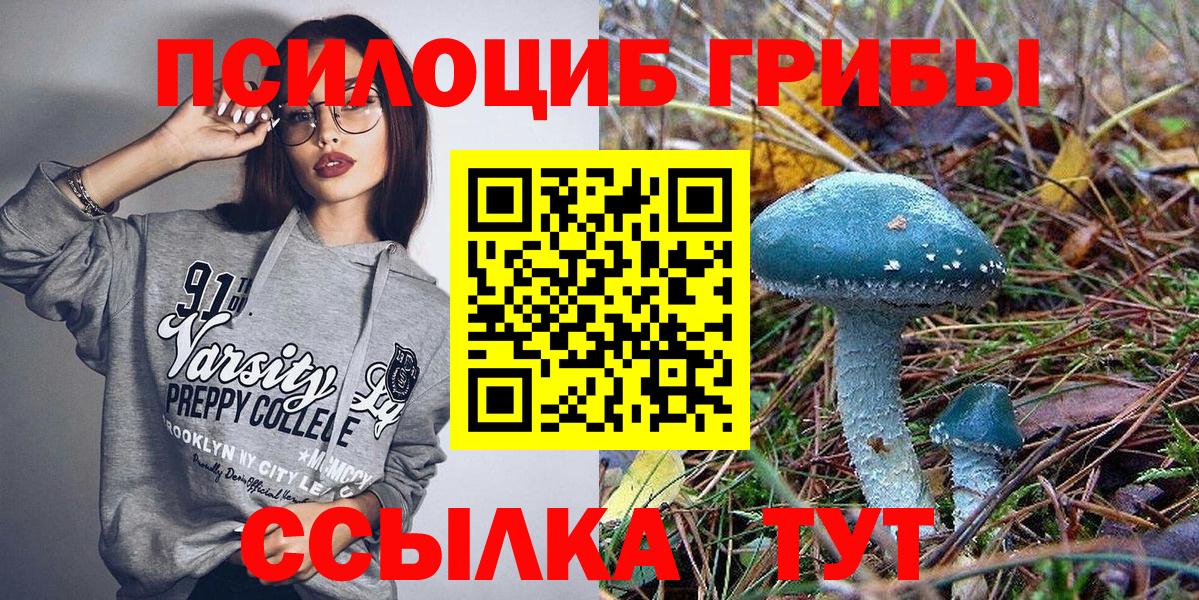 Псилоцибиновые грибы GOLDEN TEACHER Апшеронск